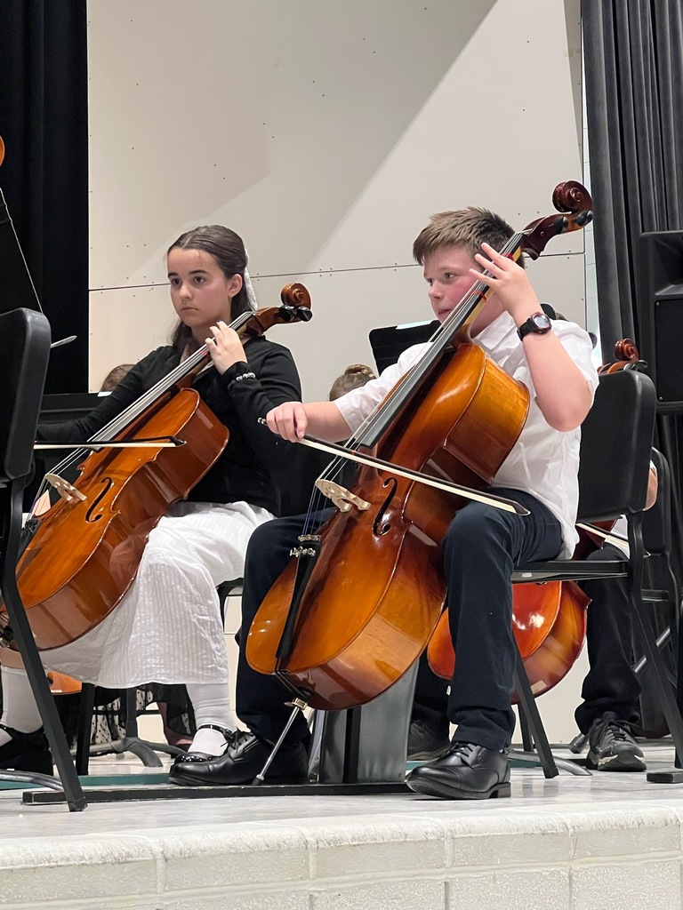 Students playing strings instruments at concert.