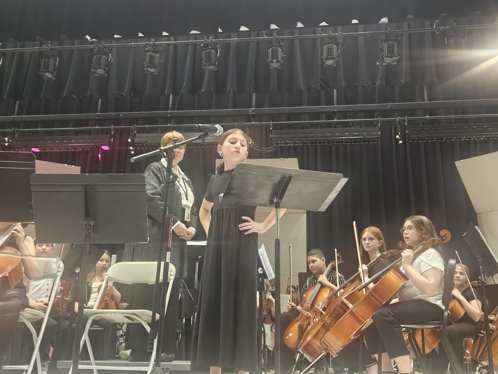 Students playing strings instruments at concert.