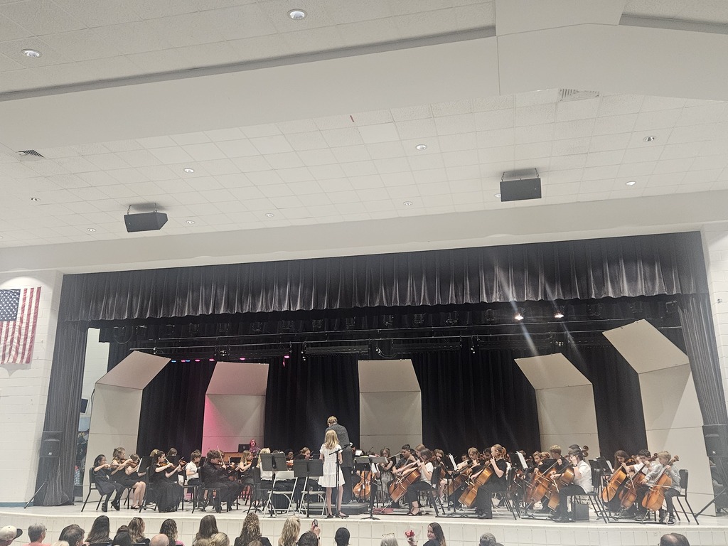 Students playing strings instruments at concert.