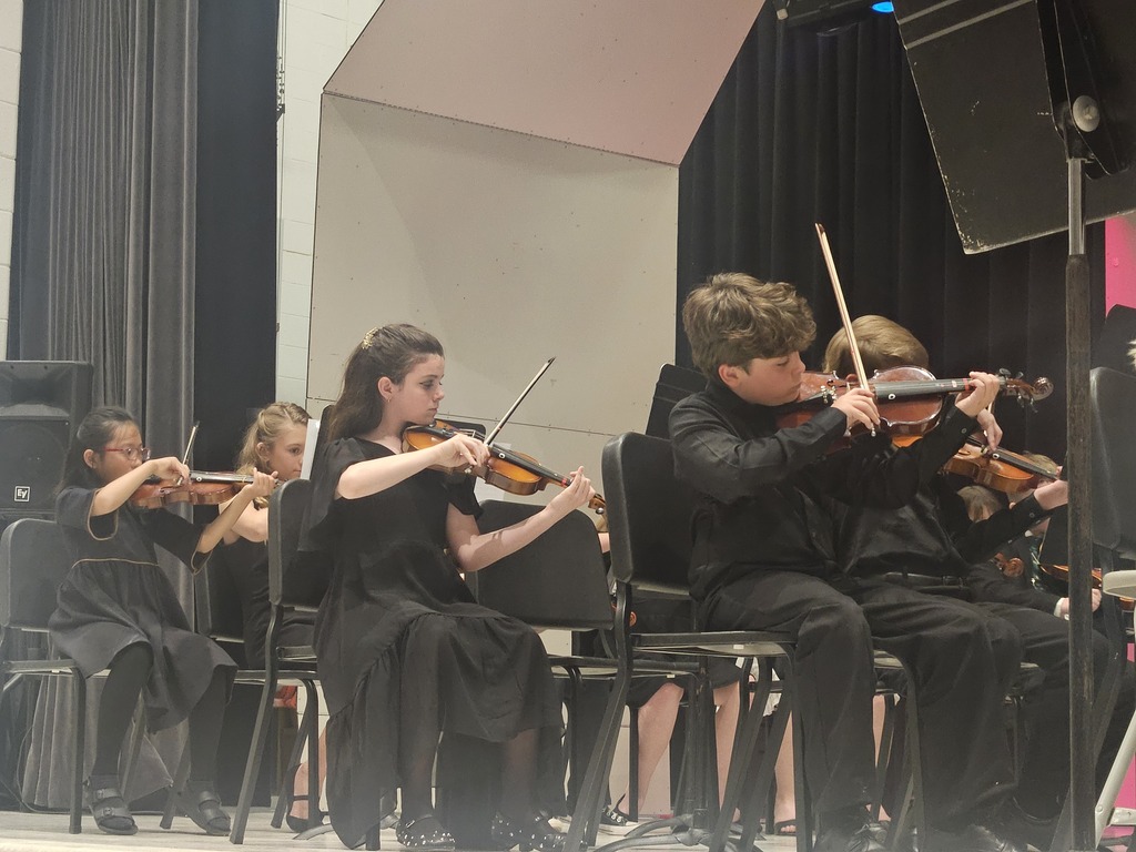 Students playing strings instruments at concert.