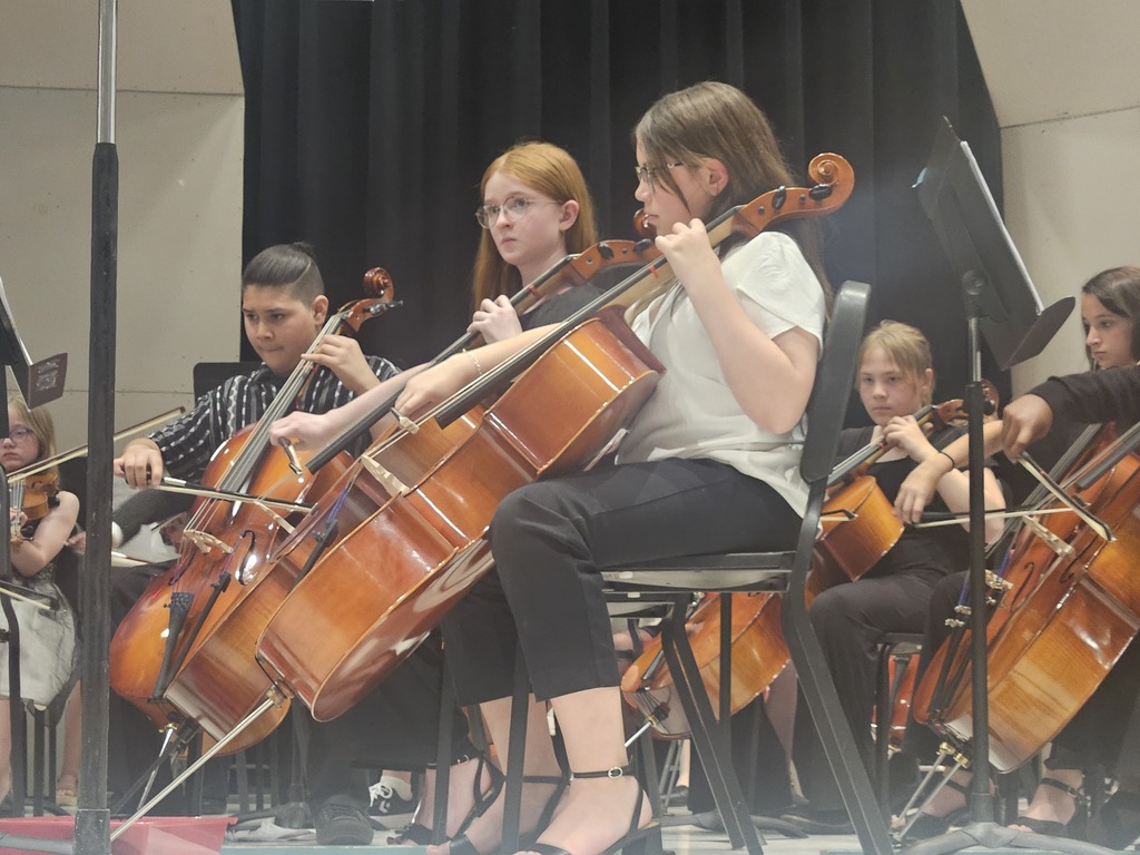 Students playing strings instruments at concert.