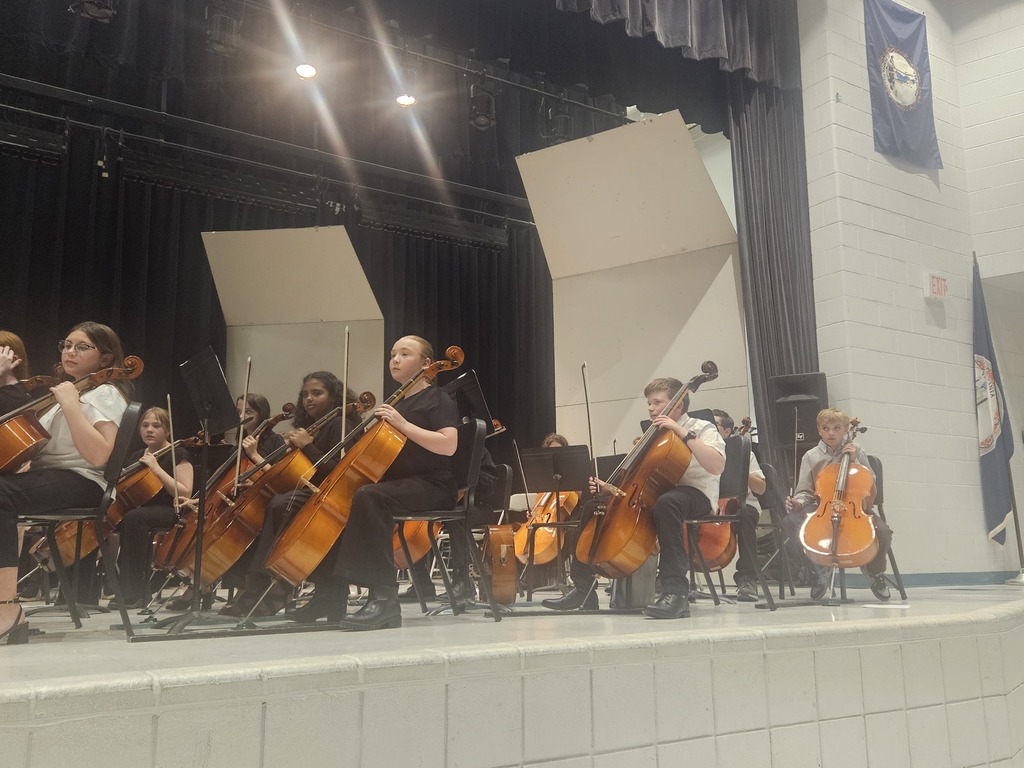 Students playing strings instruments at concert.