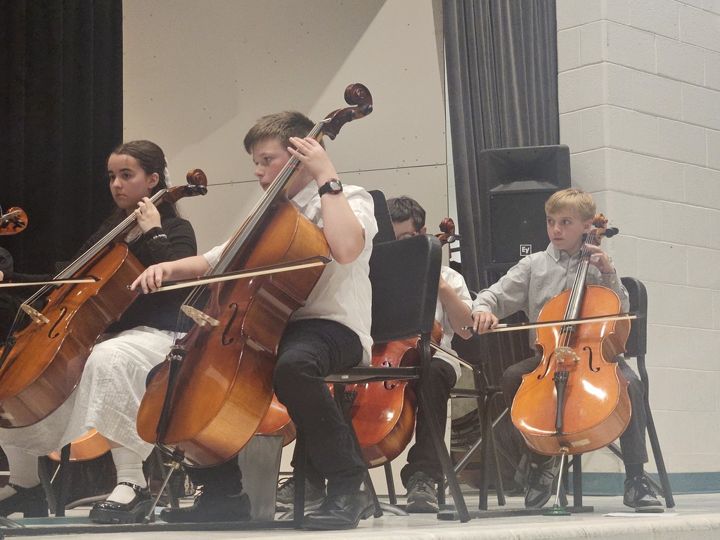Students playing strings instruments at concert.