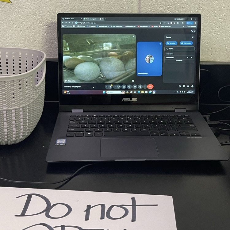7th grade science baby chickens
