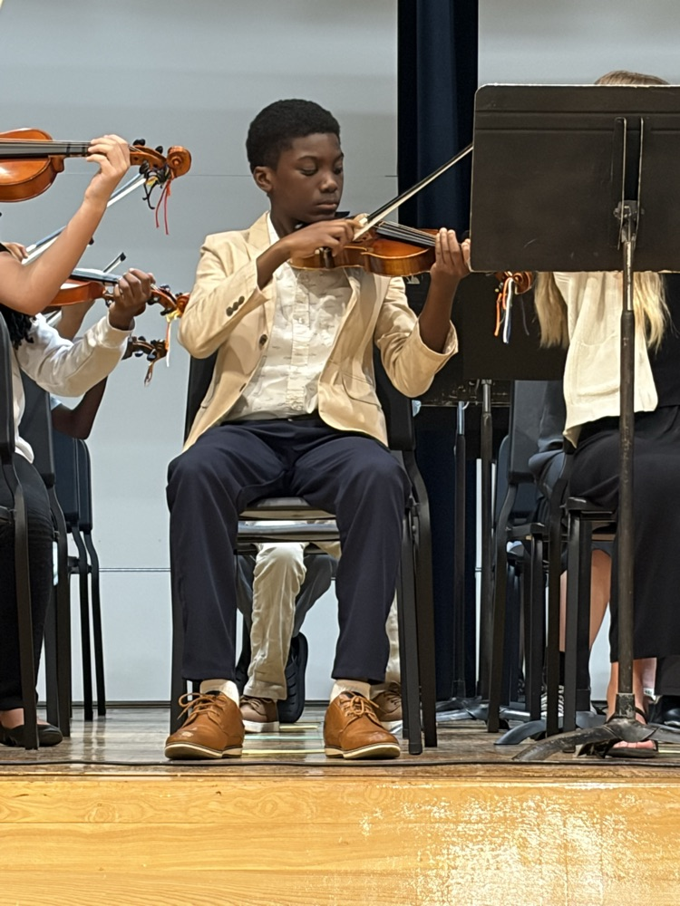 strings concert 