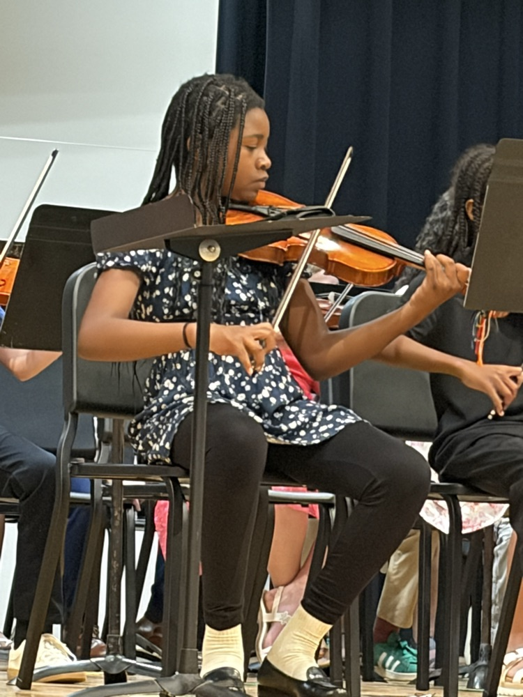 strings concert