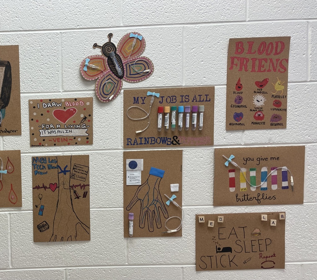 Creative project designed by med lab students