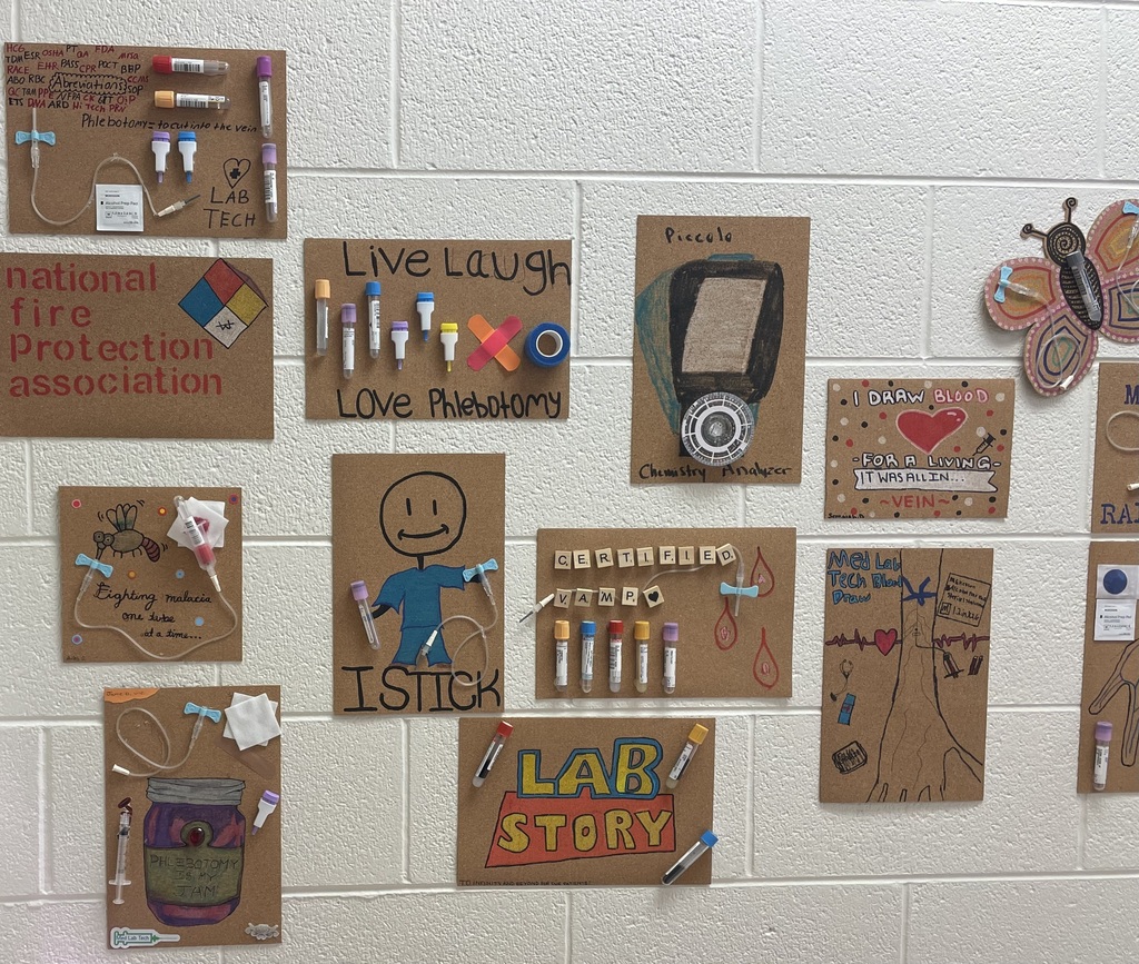 Creative project designed by med lab students