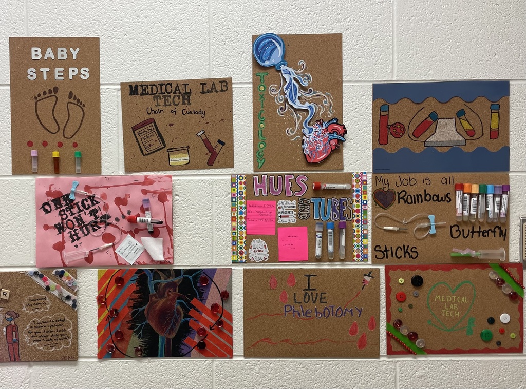 Creative project designed by med lab students