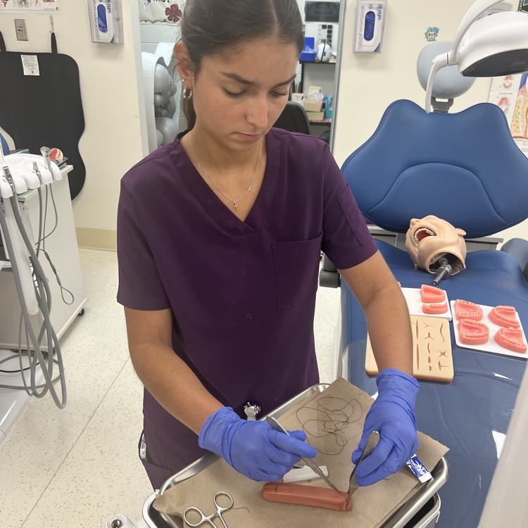 dental student practice sutures 