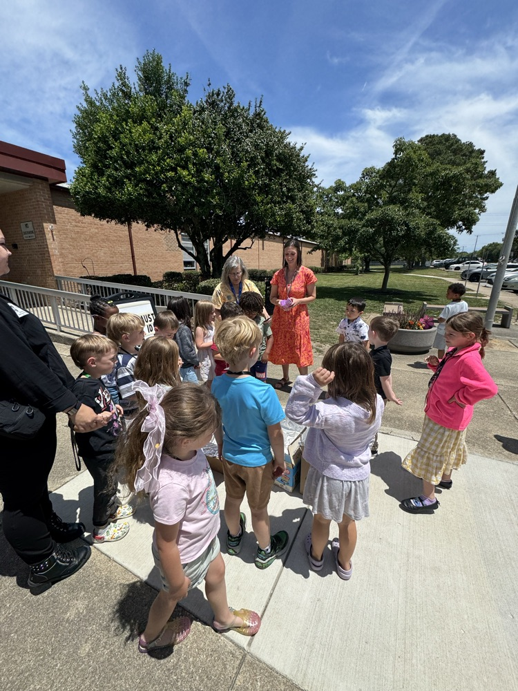 students look at solar ovens