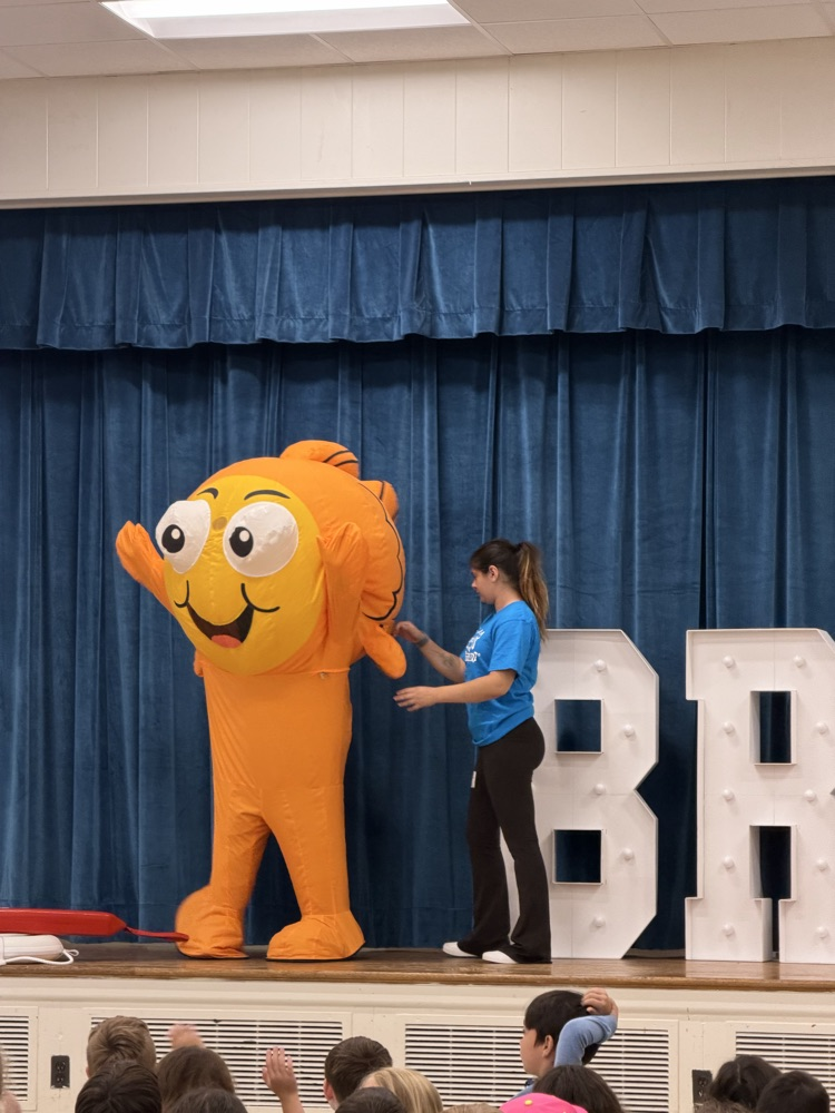 swimming safety assembly