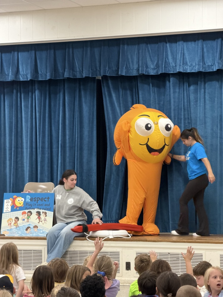 swimming safety assembly