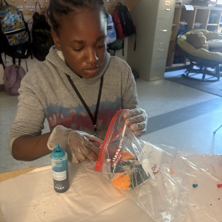 Student focused on tie dying their own shirt using rubber bands and a bag with different colors.