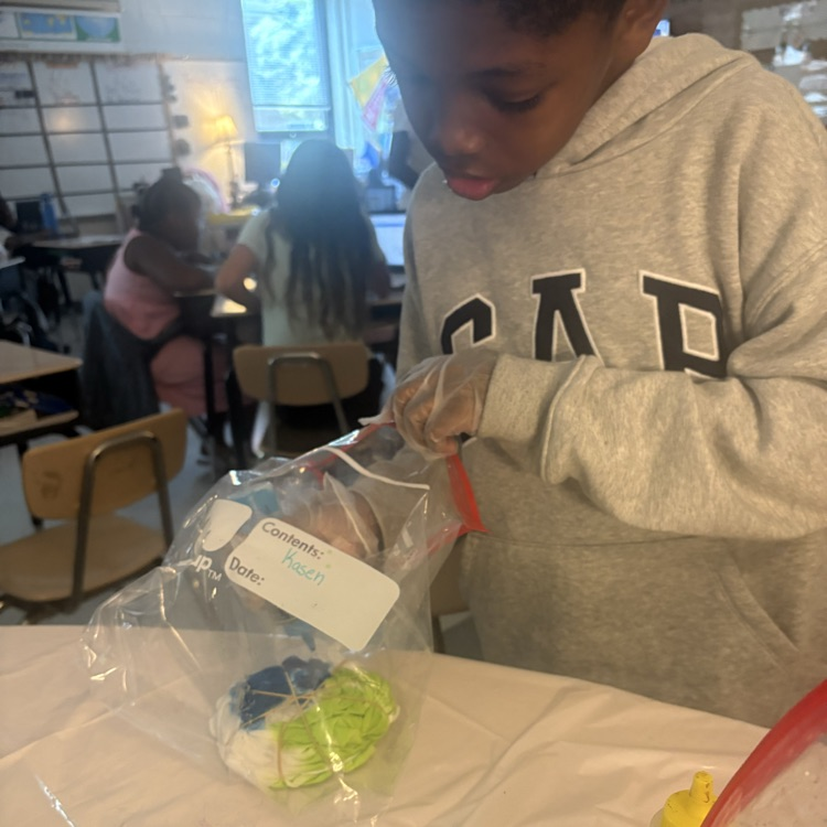 Student focused on tie dying their own shirt using rubber bands and a bag with different colors. 