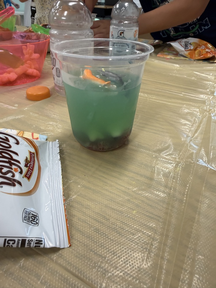 fun Craft end of your party