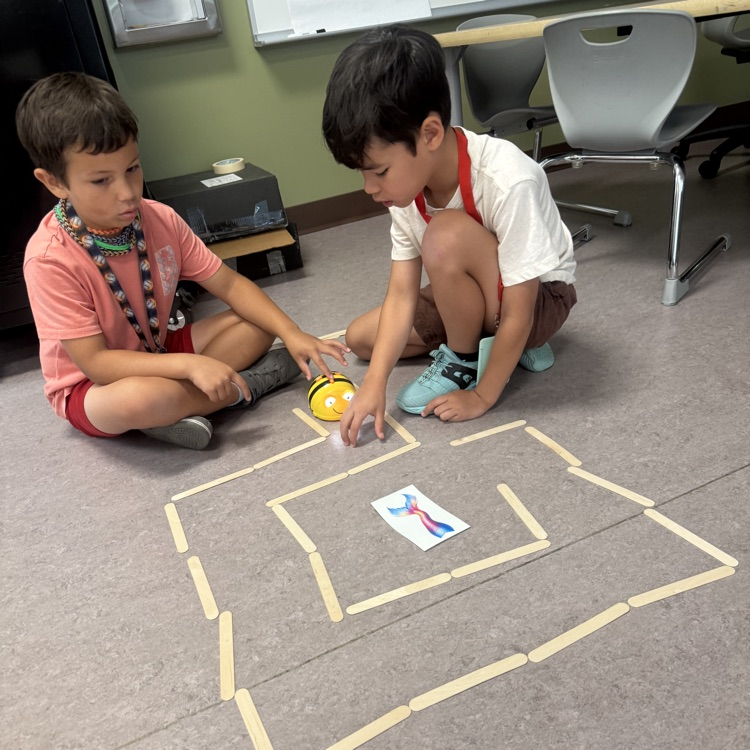 students testing their beebot maze