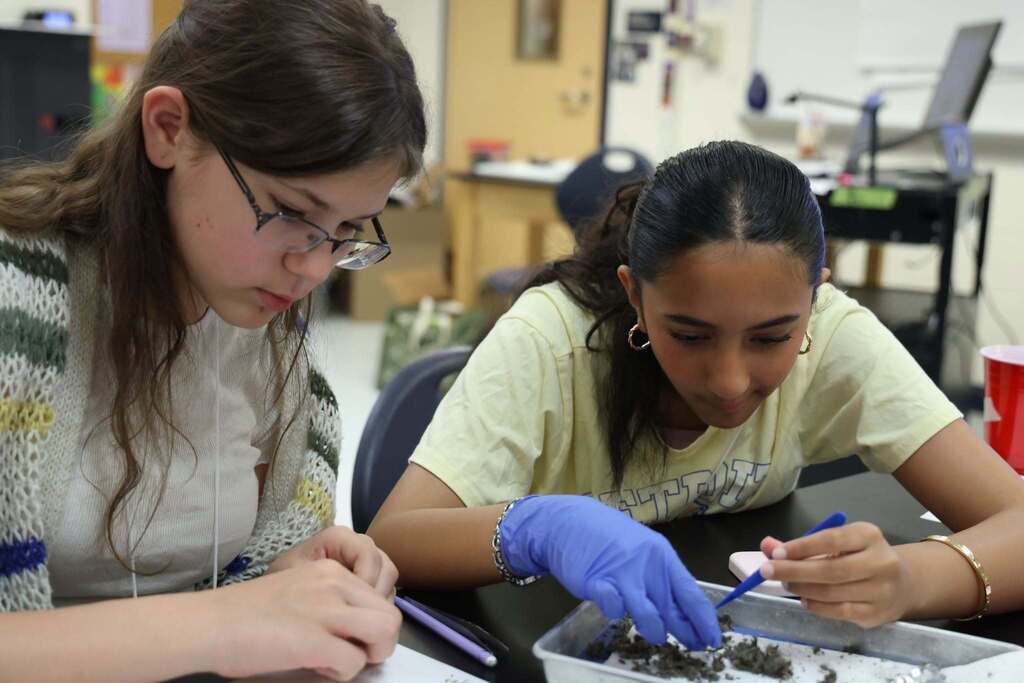 students focused on analyzing fossils