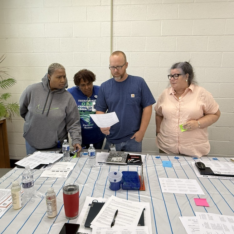 teachers participating in MTSS training