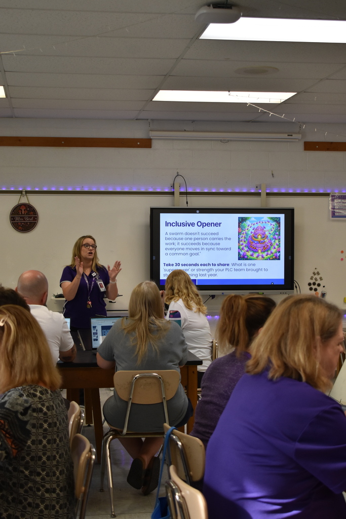 Teachers at professional development