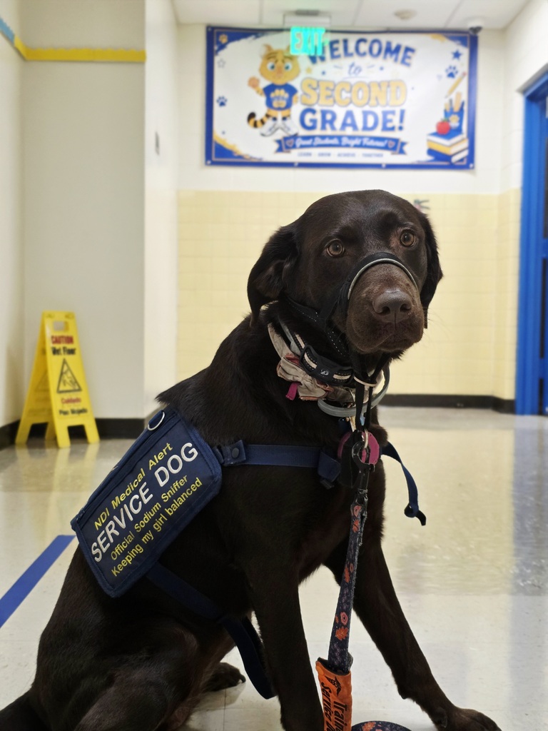Grace, the service dog