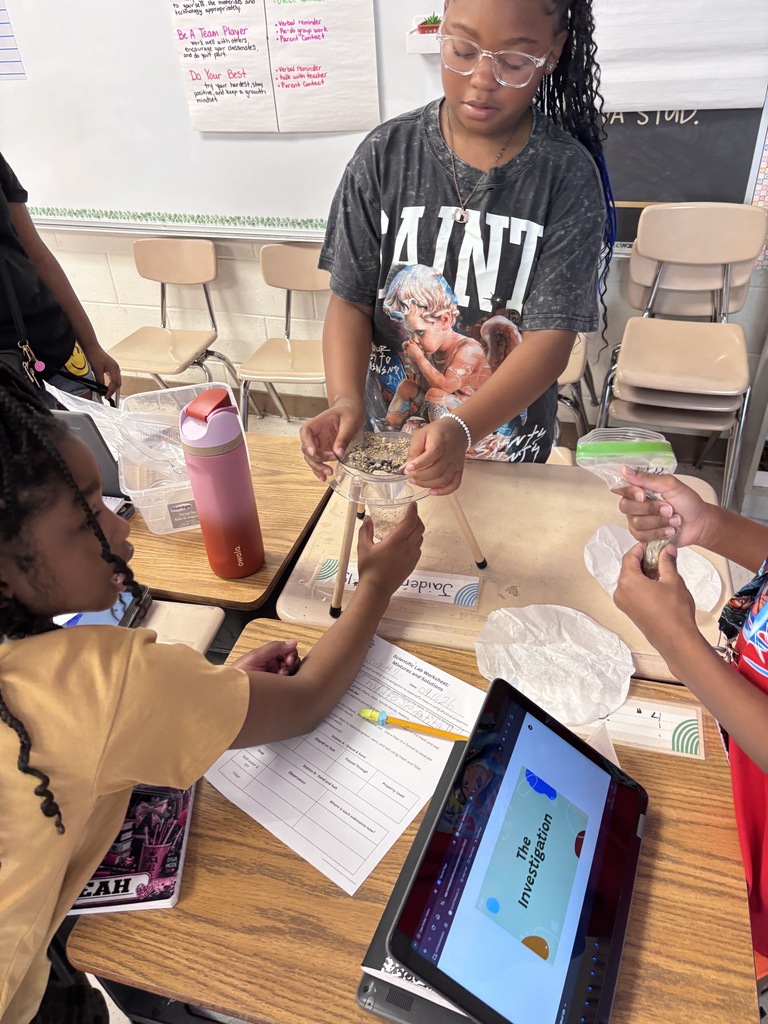 students exploring mixtures and solutions