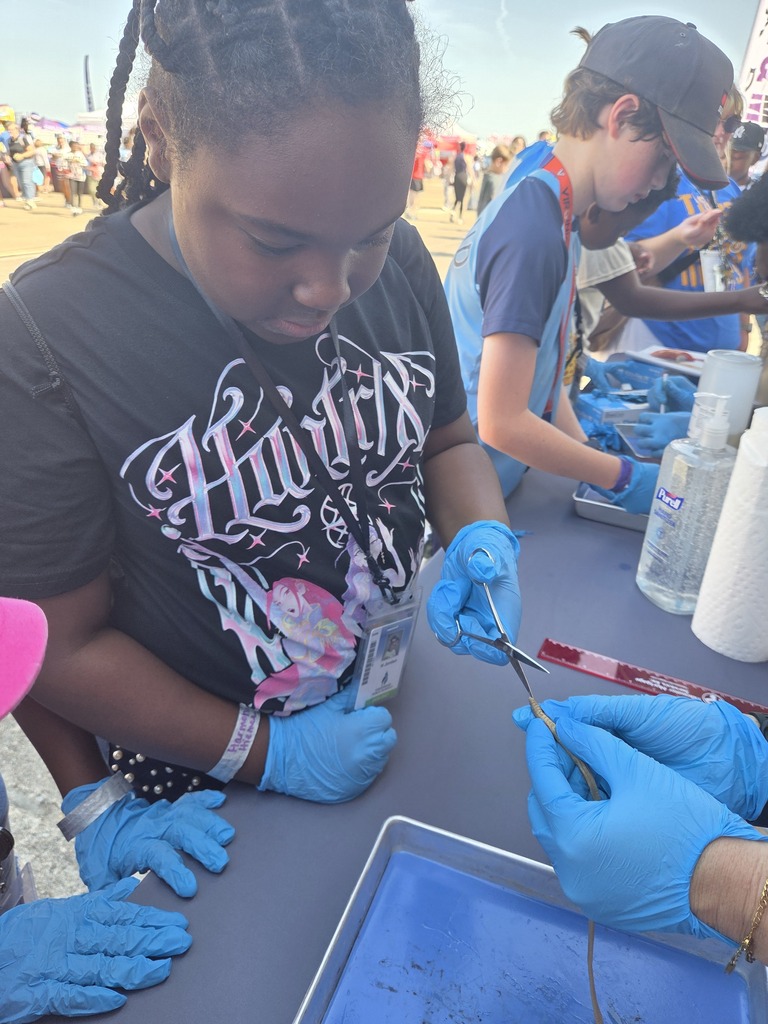 student dissecting a worm