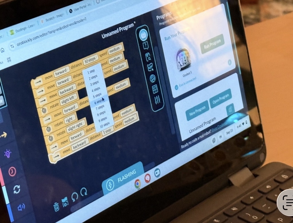 computer screen to show the student's progress on the challenge