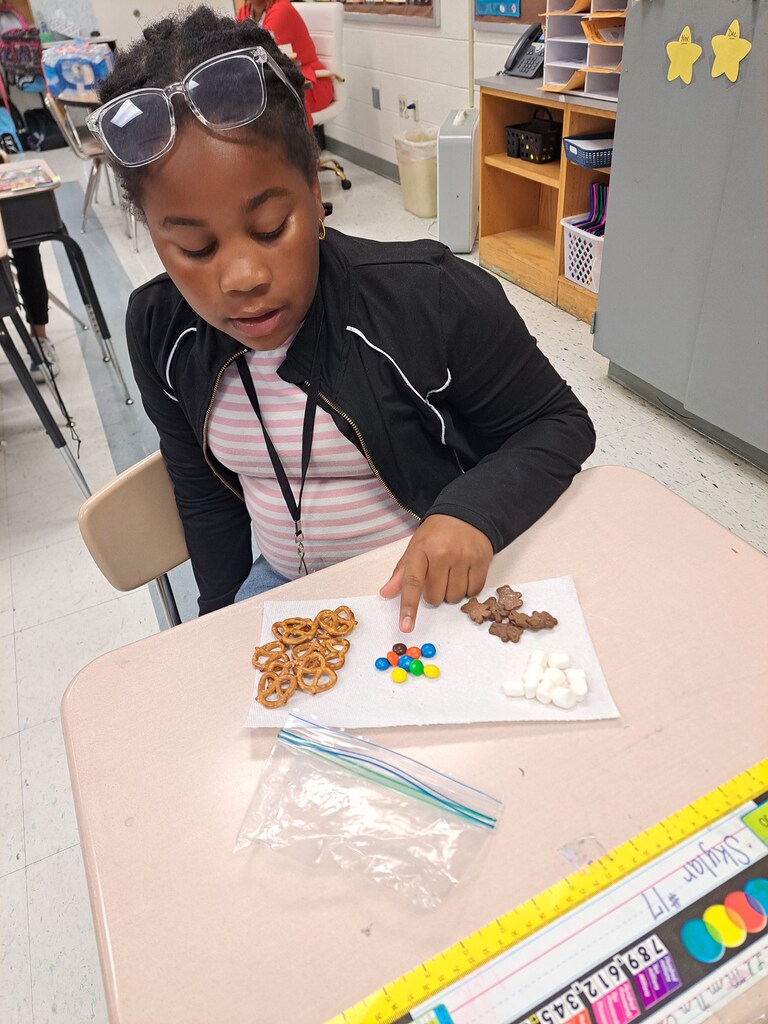 Student sorting materials with their physical properties.