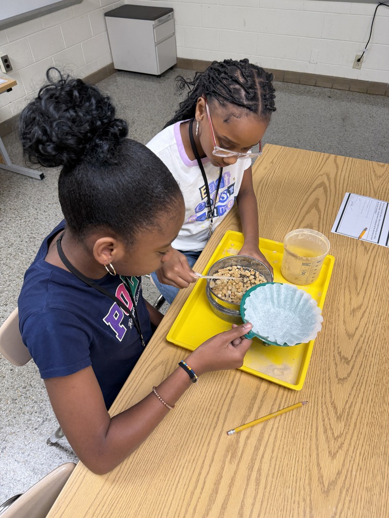 Two students using materials to separate rocks from their mixture.