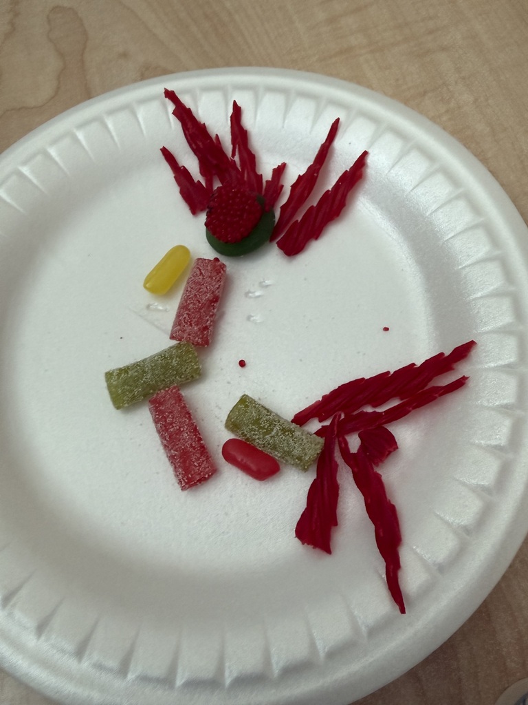 Today in Mrs. Clendenin’s Psychology class, students explored the structure and function of neurons by creating their own neuron models using candy! From dendrites to axons, students got hands-on with the parts that make our nervous system work. Who knew learning about the brain could be this sweet?