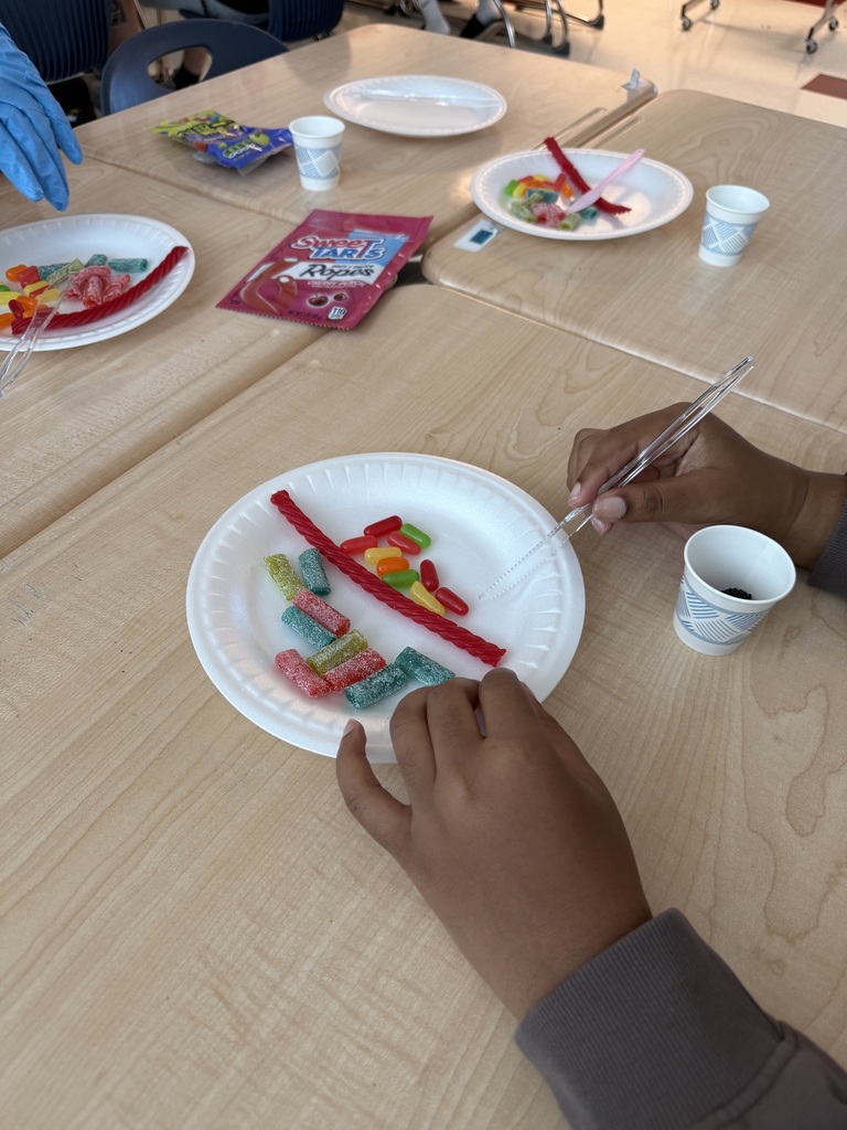Today in Mrs. Clendenin’s Psychology class, students explored the structure and function of neurons by creating their own neuron models using candy! From dendrites to axons, students got hands-on with the parts that make our nervous system work. Who knew learning about the brain could be this sweet?