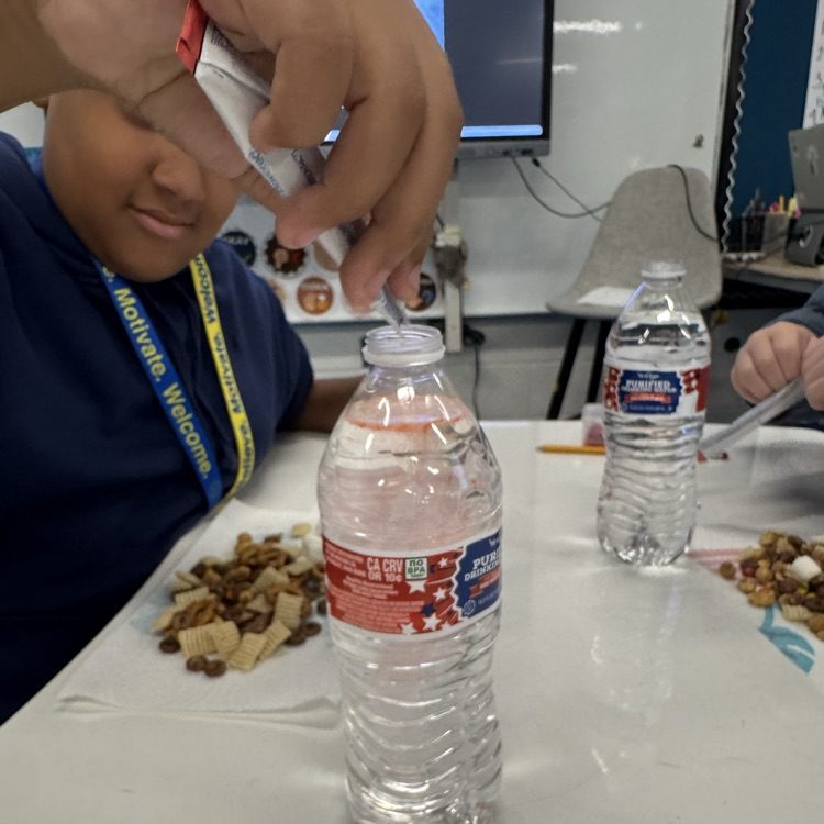 students making mixtures and solutions