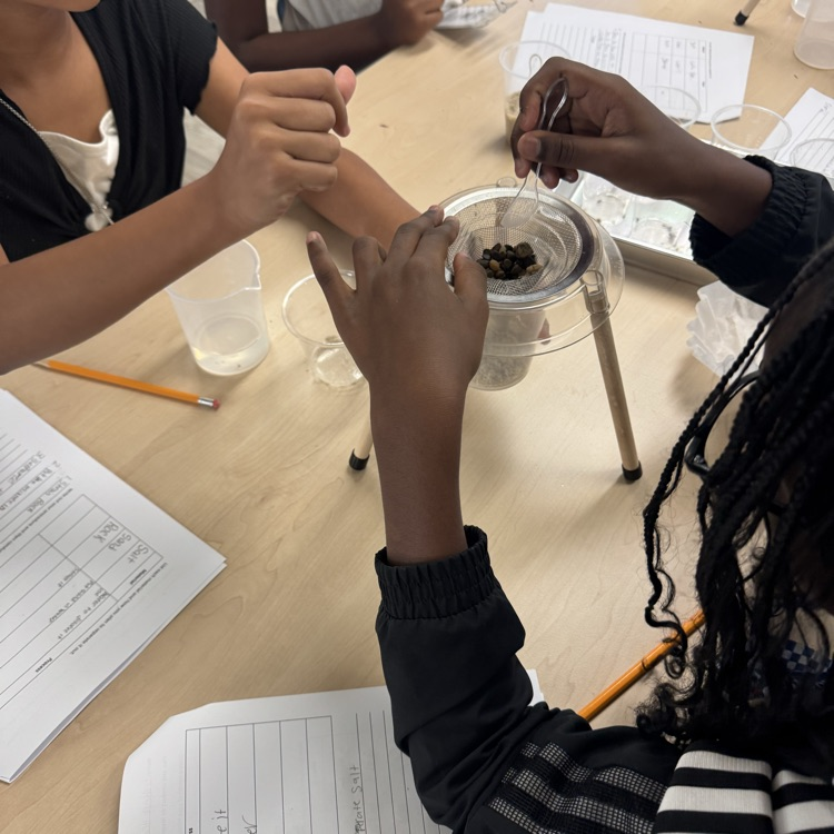 students doing a mixtures and solutions experiment