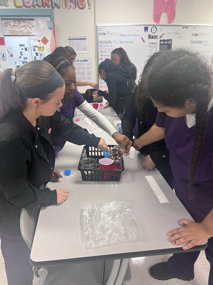 dental 1 students practicing team building