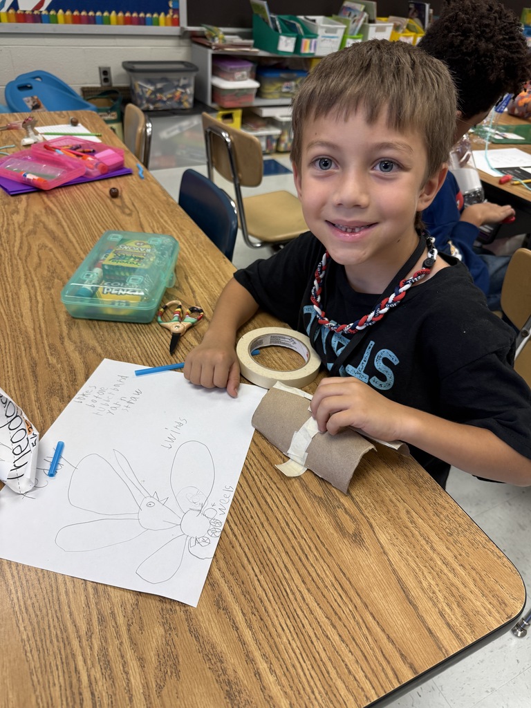 2nd Grade design a structure