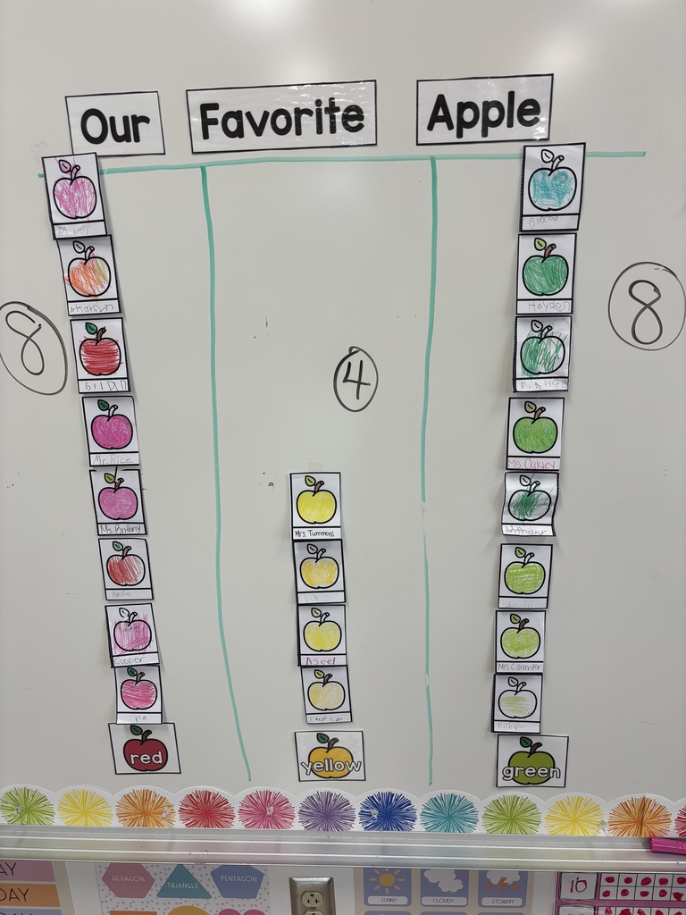 A picture of the graph Mrs. Tummons' class made of their favorite apples.