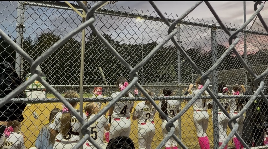 A softball team wearing white uniforms with black lettering, pink bows and pink socks stands along a fence line watching a team mate up at bat
