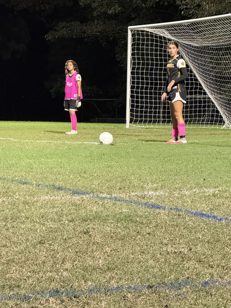 Two girls standing in front of a soccer goal with a white ball in front of them.  Both girls are wearing a black and gold uniform along with pink socks.  One has on a a pink top.