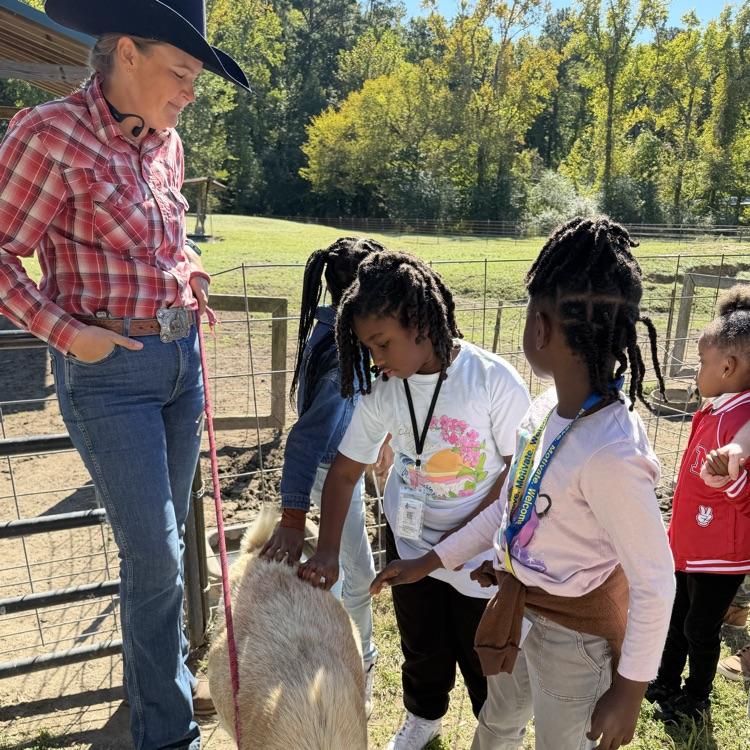first grader exploring triple r ranch