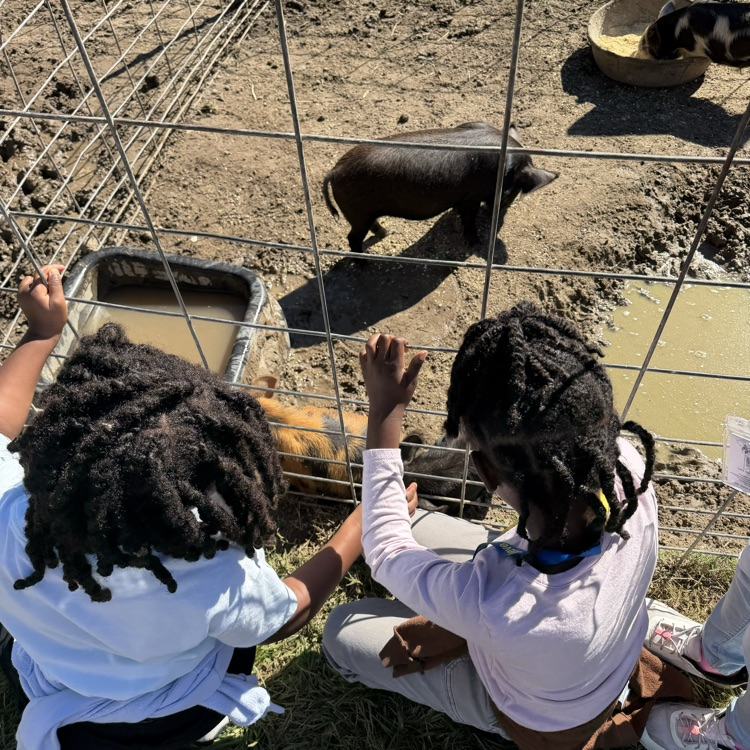 first grader exploring triple r ranch