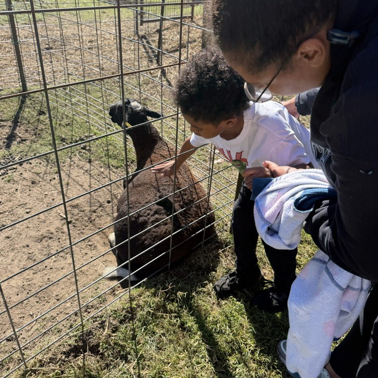 first grader exploring triple r ranch