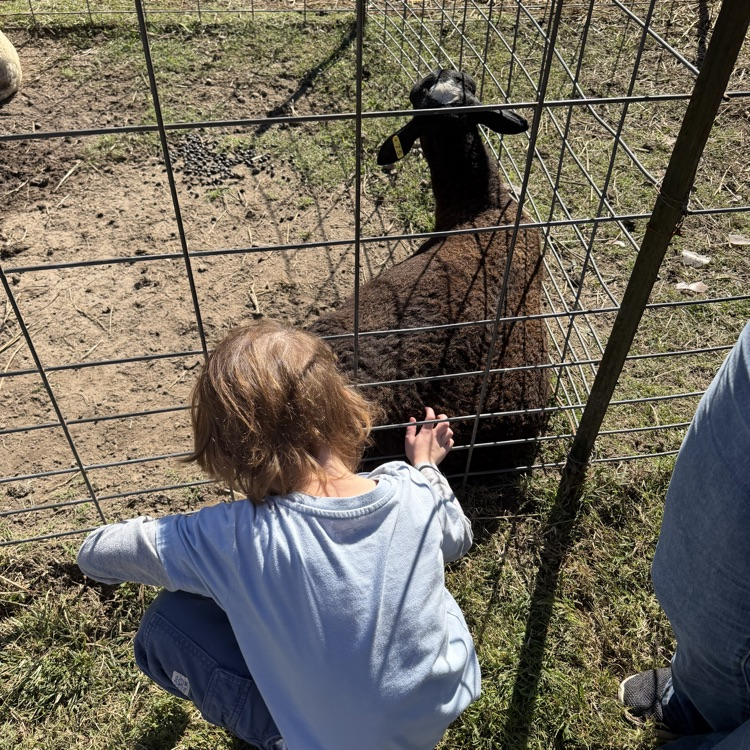 first grader exploring triple r ranch