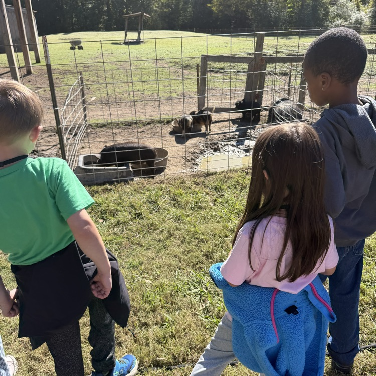 first grader exploring triple r ranch