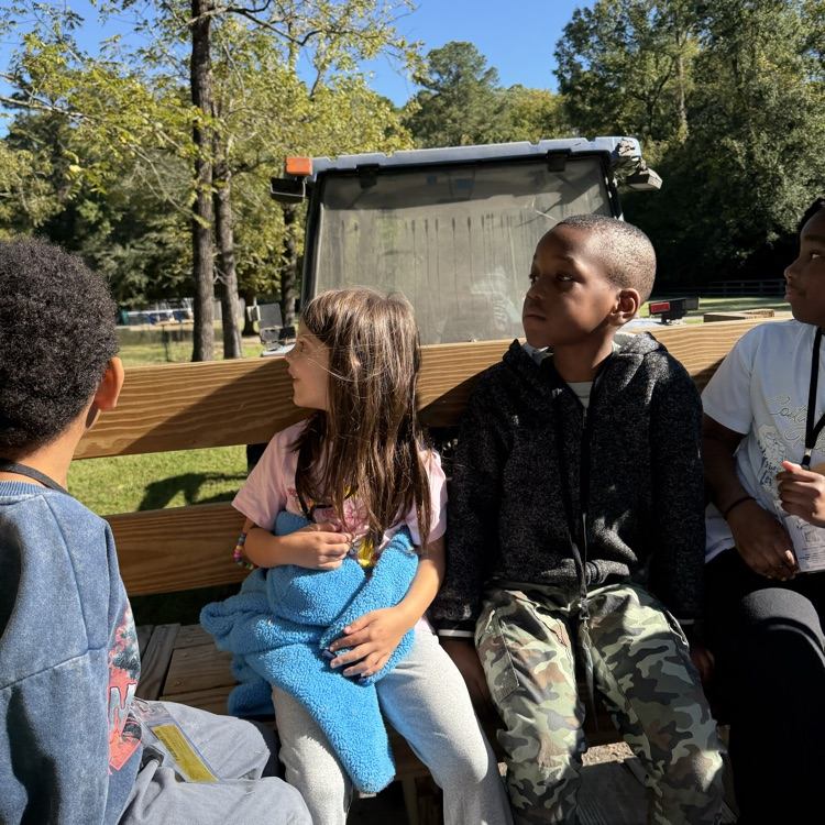 first grader exploring triple r ranch