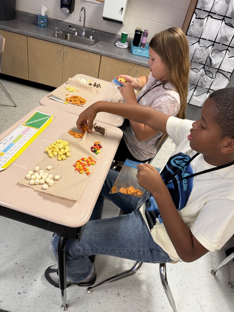 Students separating items from a mixture.
