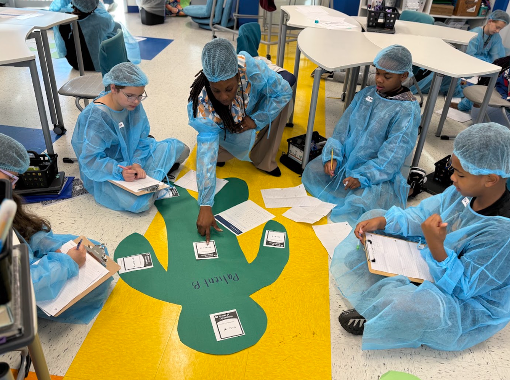 students working on order of operations- operating on the Math