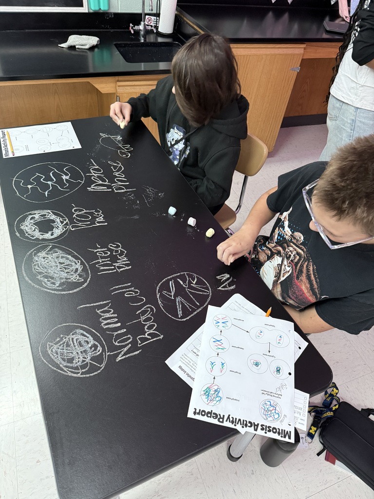 students drawing on table to demonstrate cell phases