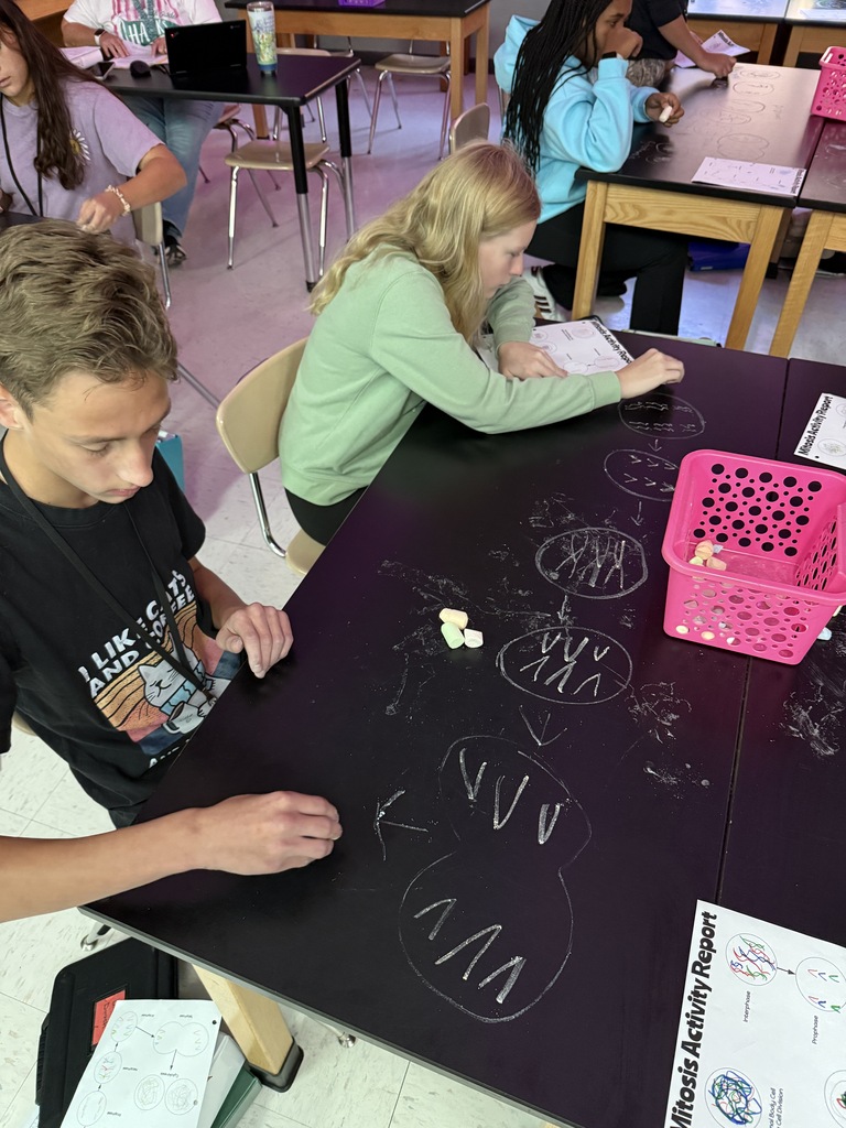 students drawing on table to demonstrate cell phases