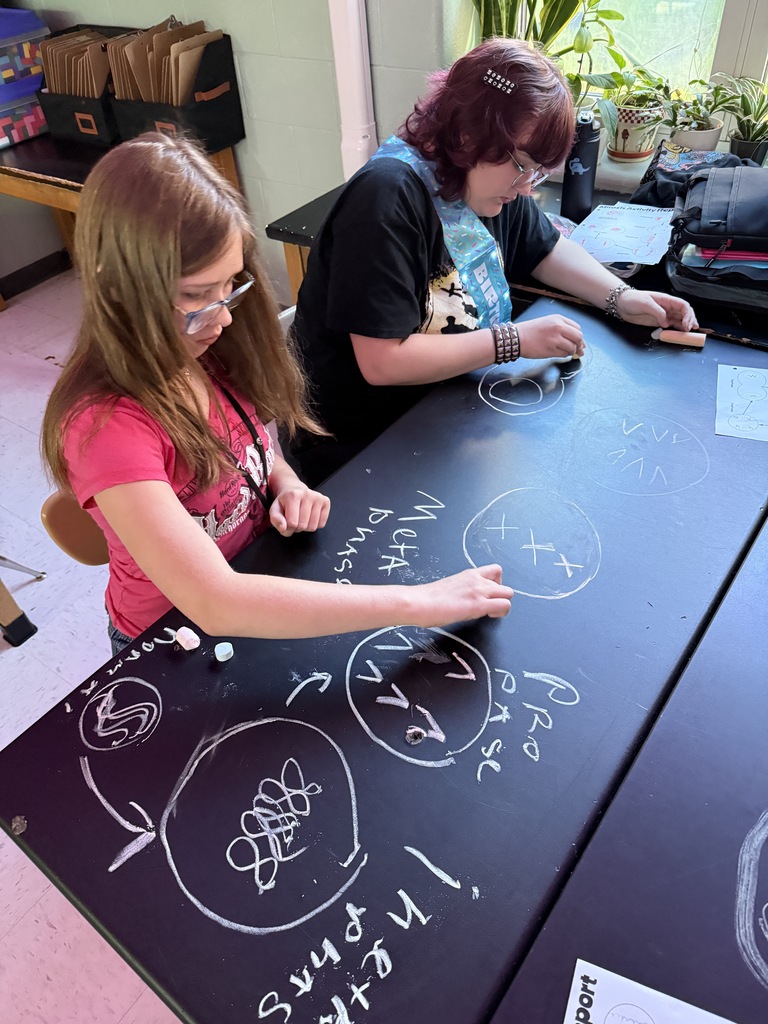 students drawing on table to demonstrate cell phases